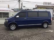 Volkswagen T5 Transporter 2003–2010 Durvju moldingi (nerūsējošais tērauds, hroms) foto 7