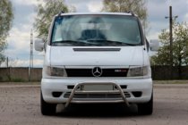 Mercedes Vito W638 1996–2003 Bullbar WT022 (nerūsējošais tērauds) foto 1