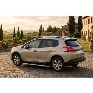 Sānu pakāpieni Tayga Grey (2 gab., alumīnijs) foto 1