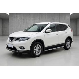 Sānu pakāpieni Tayga Grey (2 gab., alumīnijs) foto 1