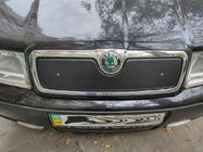 Skoda Octavia I Tour A4 1996–2010 Ziemas režģis (augšējais) matēta foto 2