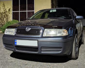 Skoda Octavia I Tour A4 1996–2010 Ziemas režģis (augšējais) matēta foto 3