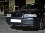 Skoda Octavia I Tour A4 1996–2010 Ziemas režģis (augšējais) matēta foto 4