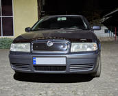 Skoda Octavia I Tour A4 1996–2010 Ziemas režģis (augšējais) matēta foto 6