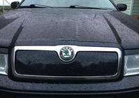 Skoda Octavia I Tour A4 1996–2010 Ziemas režģis (augšējais) matēta foto 1