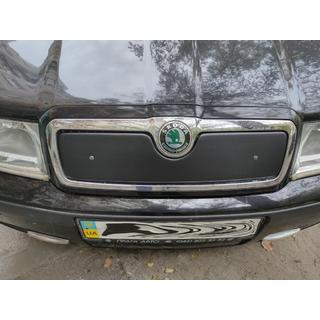 Ziemas režģis (augšējais) Skoda Octavia I Tour A4 1996–2010 foto 2