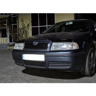 Ziemas režģis (augšējais) Skoda Octavia I Tour A4 1996–2010 foto 4