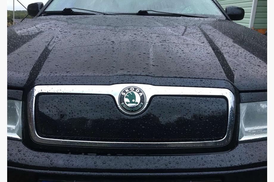 Skoda Octavia I Tour A4 1996–2010 Ziemas režģis (augšējais) matēta Image