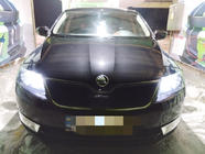 Skoda Rapid 2012–2019 Ziemas režģis (augšējais) Matēta foto 1