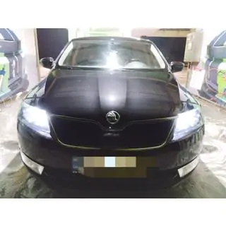 Ziemas režģis (augšējais) Skoda Rapid 2012–2019 foto 1