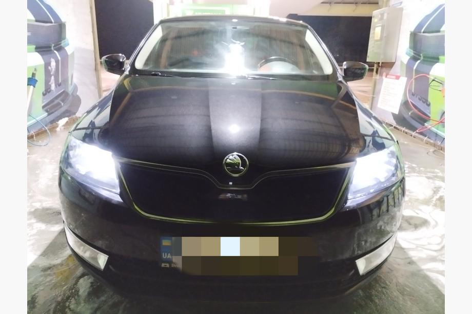 Skoda Rapid 2012–2019 Ziemas režģis (augšējais) Matēta Image