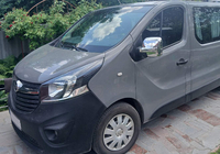 Opel Vivaro 2015–2019 Spoguļu hroma uzlikas (2 gab., plastmasa) foto 9
