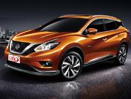Nissan Murano 2014– Sporta pakete (komplekts) foto 2