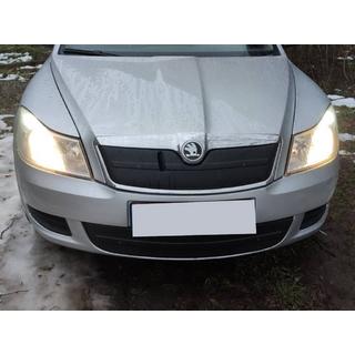 Ziemas pārsegs radiatora restei (augšējais) foto 1