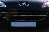 Peugeot 407 2004–2011 Restes uzlikas (3 gab., nerūsējošais tērauds) foto 1