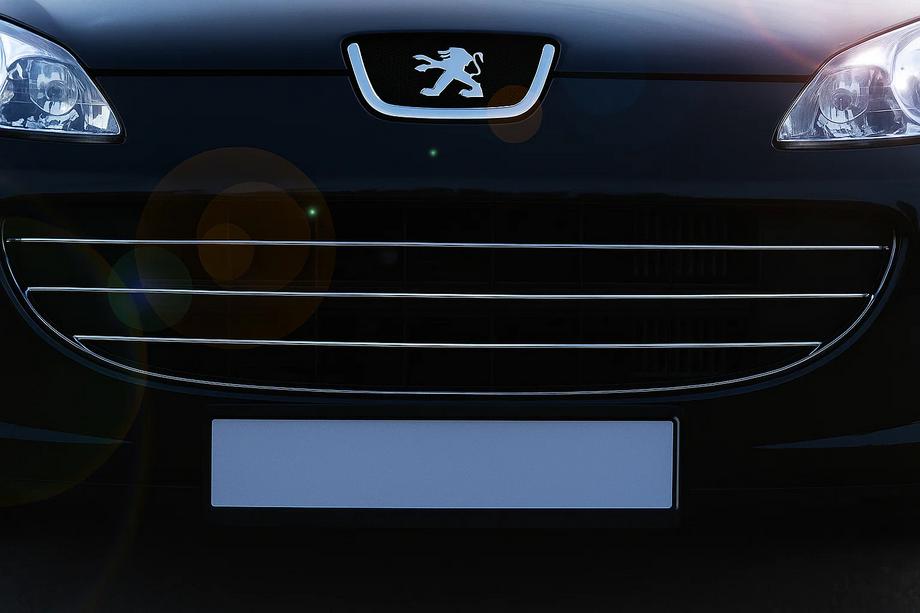 Peugeot 407 2004–2011 Restes uzlikas (3 gab., nerūsējošais tērauds) Image