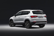 Pirmais Seat Ateca krosovera apskats foto 5