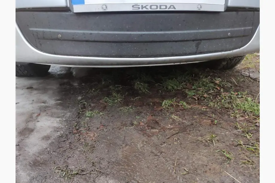 Skoda Octavia II A5 2010–2013 Ziemas pārsegs radiatora restei (apakšējais) Foto 1