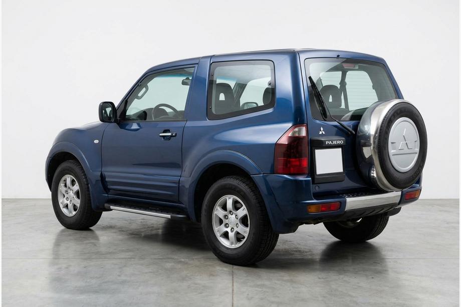 Mitsubishi Pajero Wagon III 1999–2006 Sānu pakāpieni Duru (2 gab., alumīnijs) Image