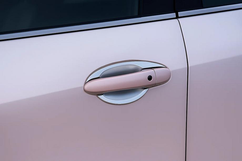 Mazda 6 2008–2012 Durvju rokturu iedobumu uzlikas ar ziedlapiņām (4 gab., plastmasa) Image