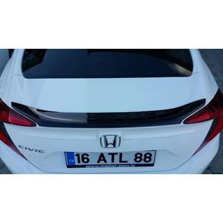 Spoileris Anatomic (krāsošanai) foto 2