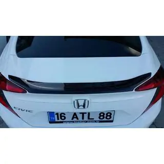 Spoileris Anatomic (krāsošanai) foto 2