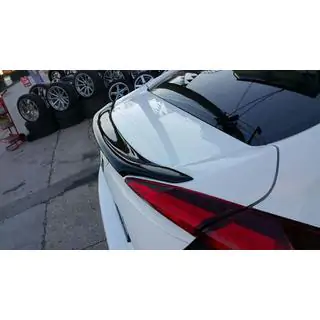 Spoileris Anatomic (krāsošanai) foto 1