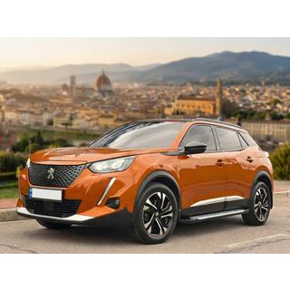 Sānu pakāpieni Allmond Grey (2 gab., alumīnijs) Peugeot 3008 2016–2023 foto 1