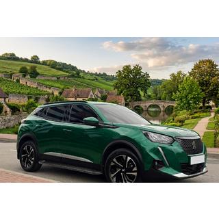 Sānu pakāpieni Allmond Black (2 gab., alumīnijs) Peugeot 3008 2016–2023 foto 1