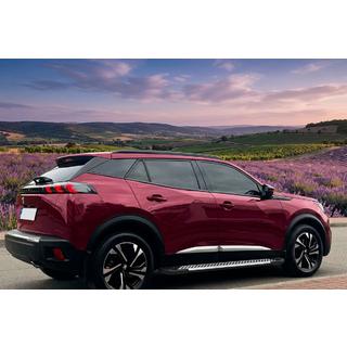 Sānu pakāpieni Line (2 gab., alumīnijs) Peugeot 3008 2016–2023 foto 1