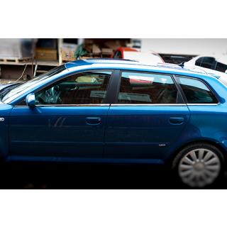 Apakšējās logu līstes (nerūsējošais tērauds) Audi A3 2003–2012 foto 4