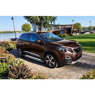 Sānu pakāpieni Rainbow (2 gab., alumīnijs) Peugeot 3008 2016–2023 foto 1