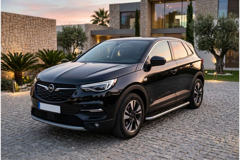 Opel Grandland X 2017– Sānu pakāpieni Maydos V1 (2 gab., alumīnijs / nerūsējošais tērauds) Image