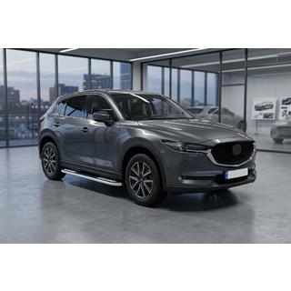 Sānu pakāpieni Tayga V2 (2 gab., alumīnijs) foto 1
