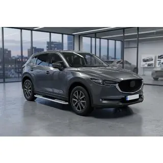 Sānu pakāpieni Tayga V2 (2 gab., alumīnijs) foto 1