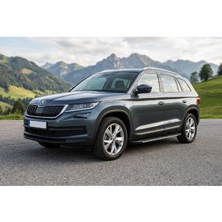 Sānu pakāpieni Bosphore Grey (2 gab., alumīnijs) Skoda Kodiaq 2016–2023 foto 1