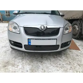 Ziemas pārsegs radiatora režģim (2007-2010, augšējais) foto 4