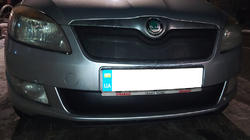 Skoda Fabia 2007–2014 Ziemas pārsegs radiatora režģim (2011-2014, augšējais) foto 2