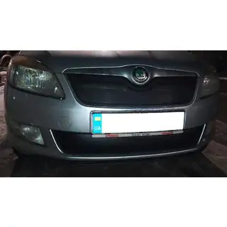 Ziemas pārsegs radiatora režģim (2011-2014, augšējais) foto 2
