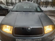 Skoda Fabia 2000–2007 Ziemas radiatora restes aizsegs foto 1