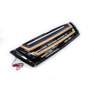Radiatora reste 2013-2017 (Modellista) Toyota Land Cruiser Prado 150 2009–2023 foto 4