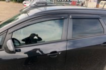 Opel Astra J 2009–2015 Logu deflektori HB (4 gab., HIC) foto 7