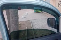 Renault Kangoo 2008–2020 Ieliekamie logu deflektori (2 gab., HIC) foto 11