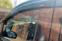 Mercedes Vito/V klase W447 2014– Logu vēja deflektori (2 gab., HIC) foto 11