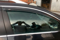 Volkswagen Passat B7 2012–2015 Logu vēja deflektori ar hromētu līsti SW (4 gab., EU, HIC) foto 9