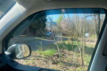 Volkswagen T5 Caravelle 2004–2010 Ieliekamie logu deflektori (2 gab., HIC) foto 8