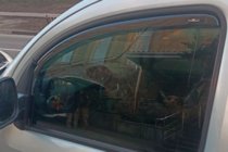 Mercedes Citan 2013–2021 Ieliekamie logu deflektori (2 gab., HIC) foto 9