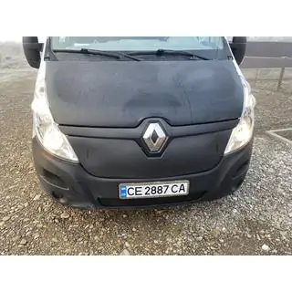 Ziemas radiatora reste (2014-2019, augšējā) foto 4