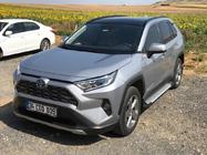 Toyota Rav 4 2019–2025 Sānu pakāpieni Allmond Grey (2 gab., alumīnijs) foto 6
