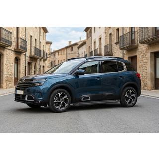 Sānu pakāpieni Allmond Black (2 gab., alumīnijs) Citroen C5 Aircross 2017–2025 foto 1